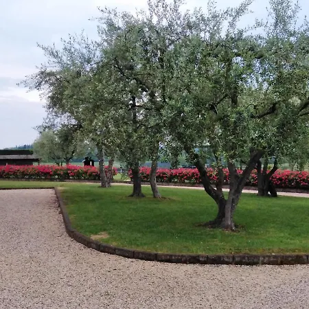 Le Ginestre Apartment *