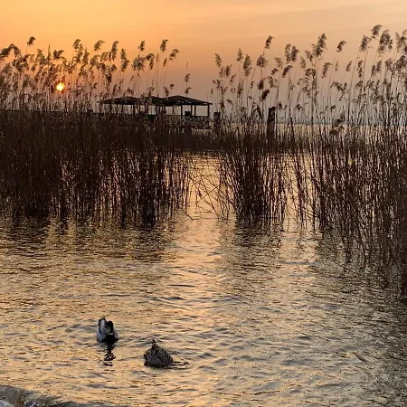 Tasso Canossa - Con Piscina * Lazise