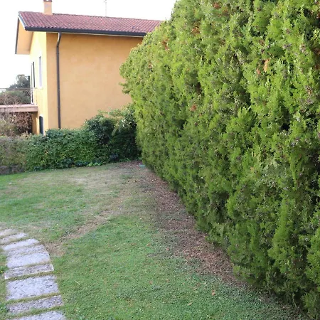 Near And Garda *
