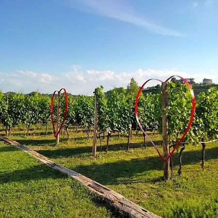 Le Ginestre Lazise