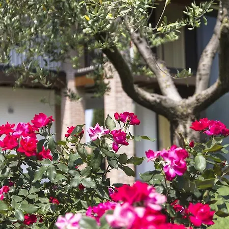 Relais Agli Olivi Hotel 3*