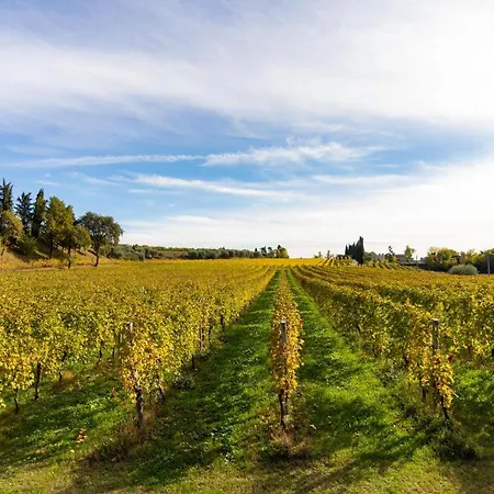 Ai Prati Alloggio per agriturismo *