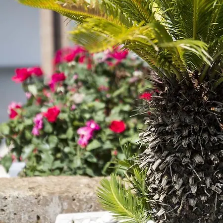 Relais Agli Olivi 3* Lazise