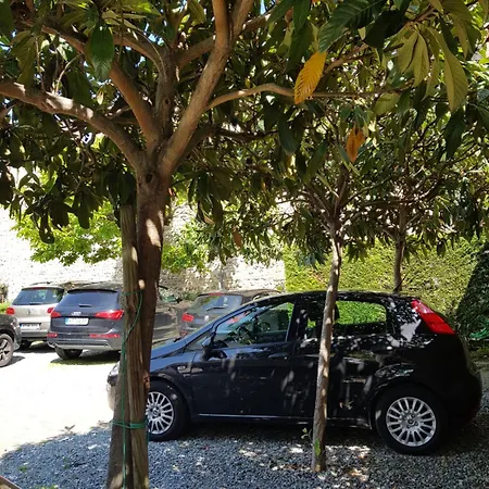 Hotel Cansignorio 3*