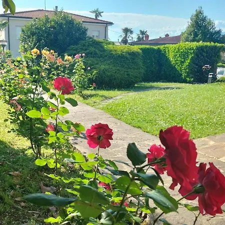 Casa Viale Delle Rose Lazise