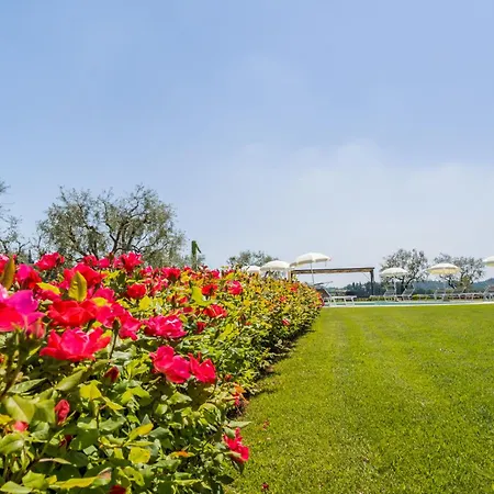 Apartment Le Ginestre Lazise