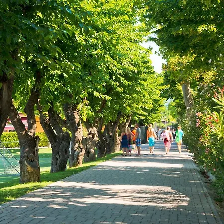 Village Du Parc Campeggio 3*