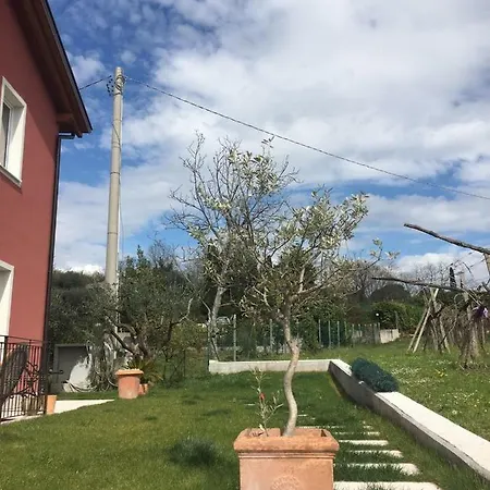 Apartment Tasso Canossa - Con Piscina Lazise