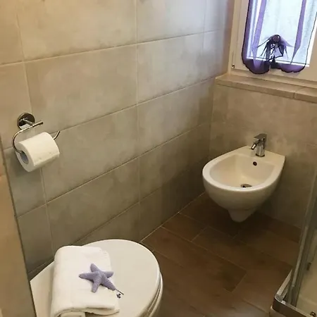 My Apartment