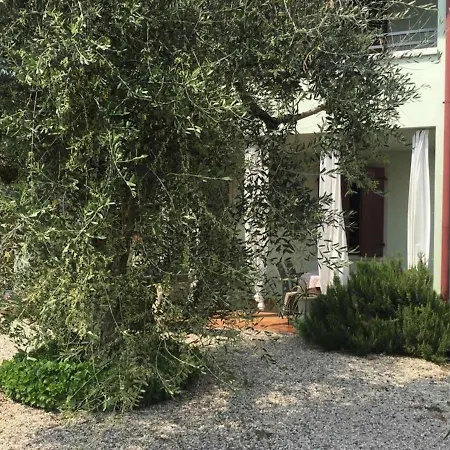 Sofia Apartment *