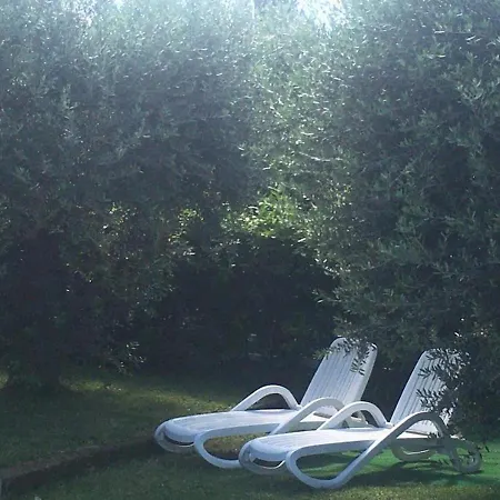 Sofia * Lazise