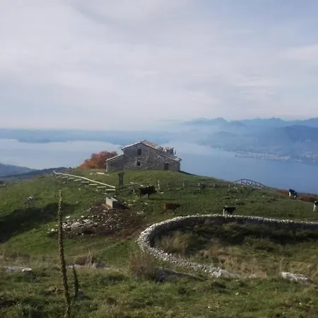 Benacus * Lazise