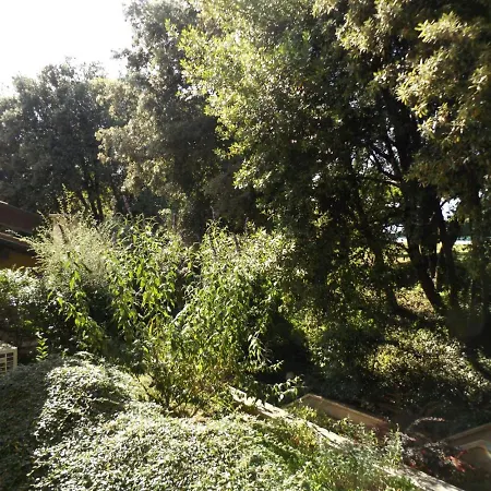 Il Piccolo Apartment *