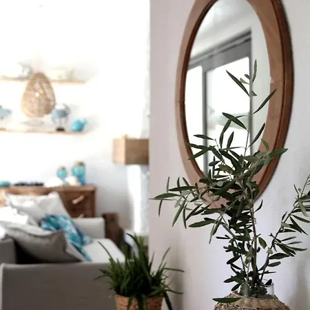 Agave * Lazise