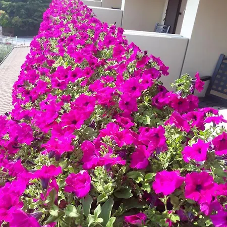 Da Roberto Hotel Lazise