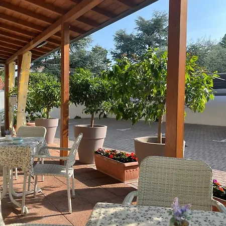 La Mimosa *