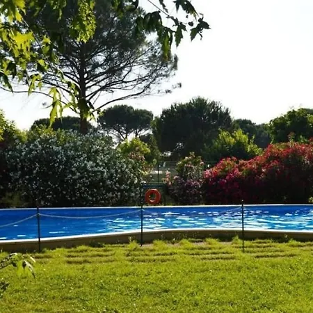 Lazise