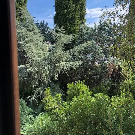 Lazise *