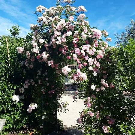 Haus Romagnoli Aparthotel *