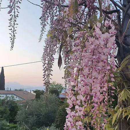 Molo - Residenza Con Accesso Diretto Al Holiday home Lazise