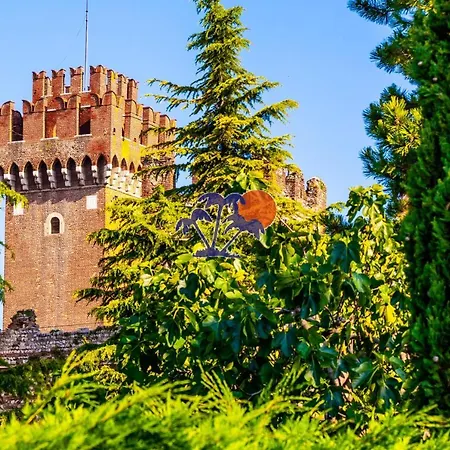 Gli Olmi Apartment Lazise