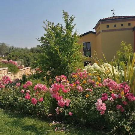 La Rondinella