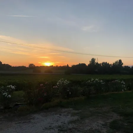 Farm stay Agricamping Al Grappolo Divino