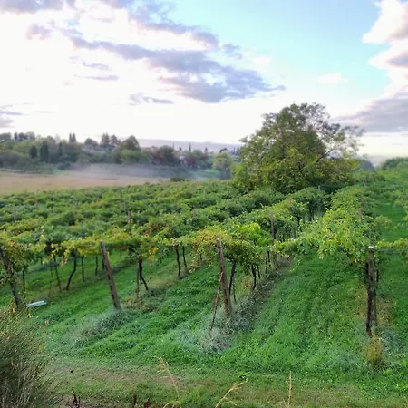 Farm stay Al Dugale Lazise