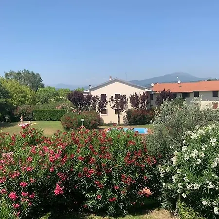 Bernardi Il Lauro *