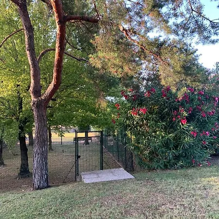 Bernardi Il Lauro Lazise