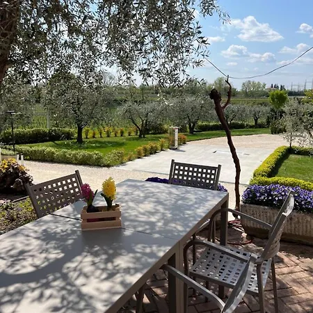 Farm stay Agricamping Al Grappolo Divino *