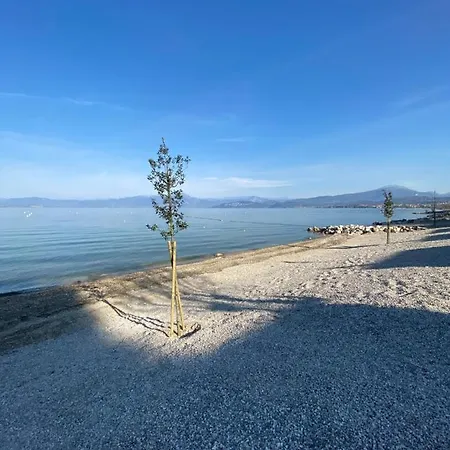 Camping Belvedere 3*