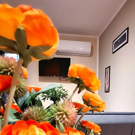Al Glicine Apartment