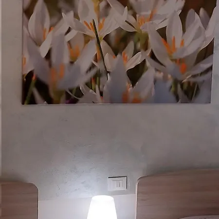 Apartment Magnolia