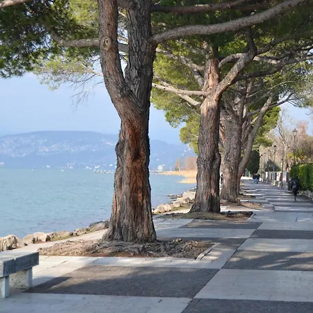 Camelia - A 50 M Dal Apartment *