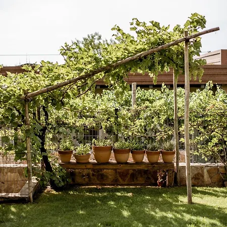 Guest house Le Greghe