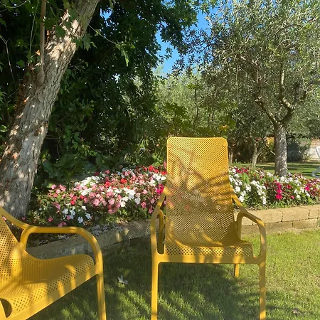 Agricampeggio Oasi Del Garda Campeggio *