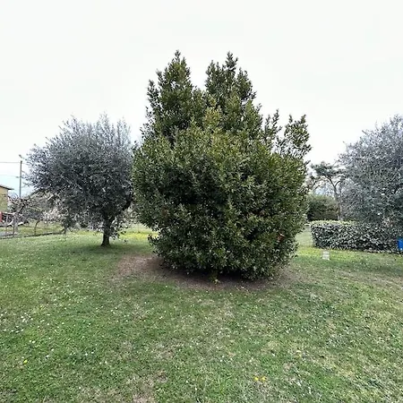 Apartment Sagramose A