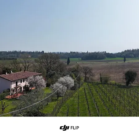 Appartamenti Savina