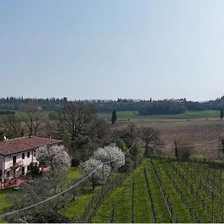 Appartamenti Savina * Lazise