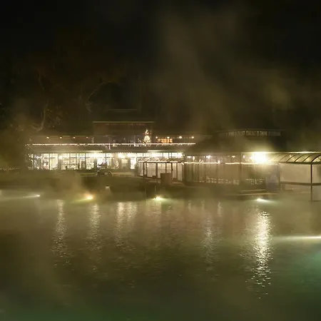 Hotel Parco Termale Di Dei Cedri Lazise