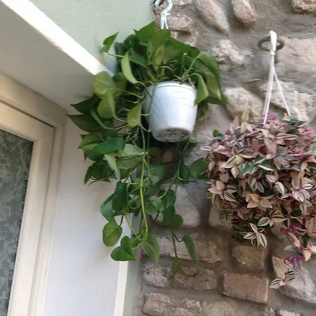 Oreste Guest house Lazise