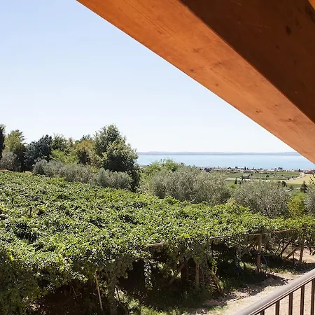 Il Grappolo Lazise