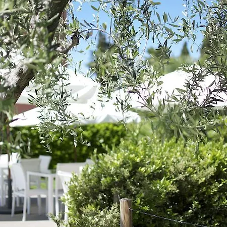 Vialeromadodici Rooms&apartments Lazise