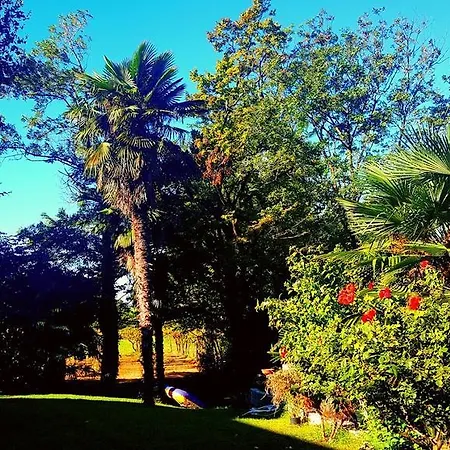 Graziella Guest house Lazise