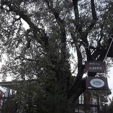Bed & Breakfast Rosa Del Garda Lazise