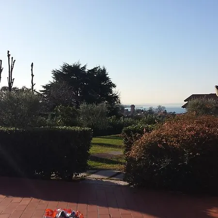 Barum Rosa * Lazise
