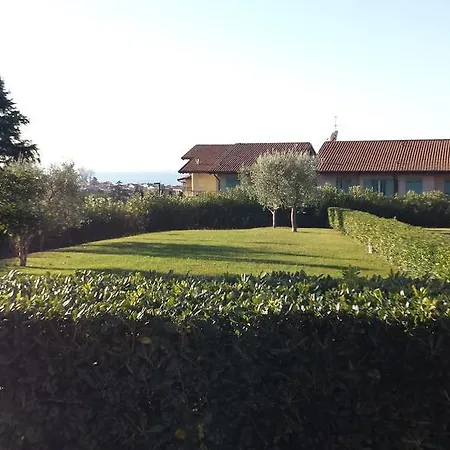 Barum Rosa