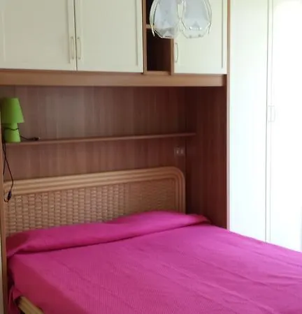 Barum Rosa