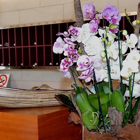 Giulietta Romeo Hotel 3*